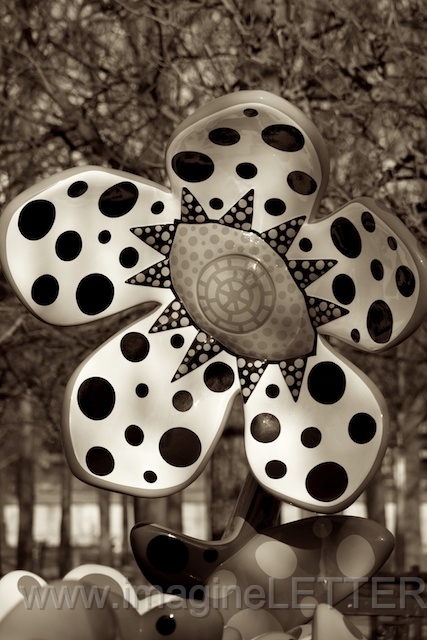 Wall_Art_Alphabet_Photography_Art_ 1753.jpg